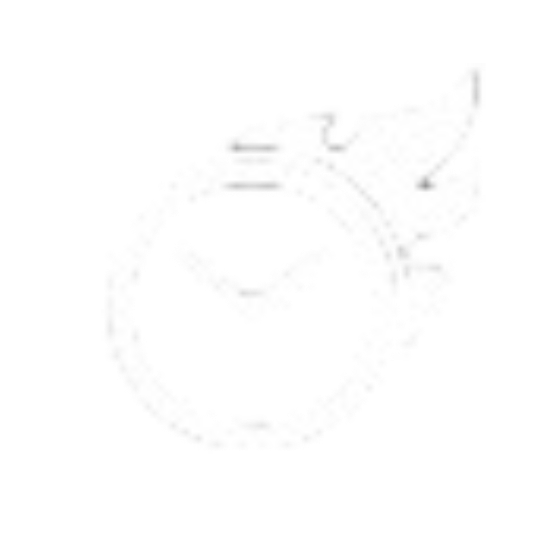 Fast Downloading Speed